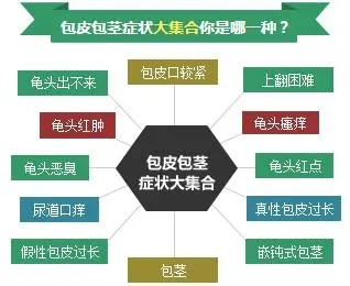 包皮包茎图片,包皮包茎区别,包皮包茎手术,包皮包茎咨询,包皮包茎费用