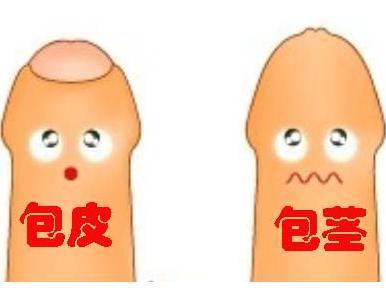 Ƥ֢״,Ƥ,Ƥ,ƤΣ