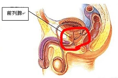 前列腺炎症状,前列腺炎用药,前列腺炎治疗,前列腺炎药物