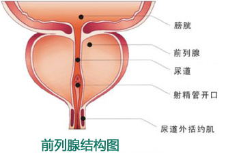 男人夜间道汗是什么原因?提醒您疾病不可忽视！