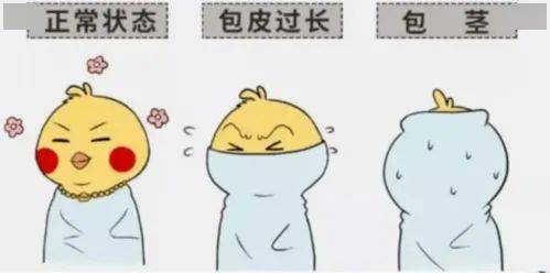包皮包茎手术,包皮包茎区别,包皮包茎图片,包皮包茎咨询